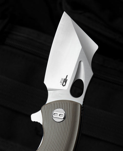 BESTECH LIZARD Beige G10 Handle: 2.4" D2 Blade BG39C