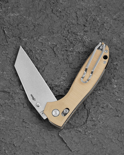 BESTECH Liger BG61C G10 Handle 3.61" D2 Blade